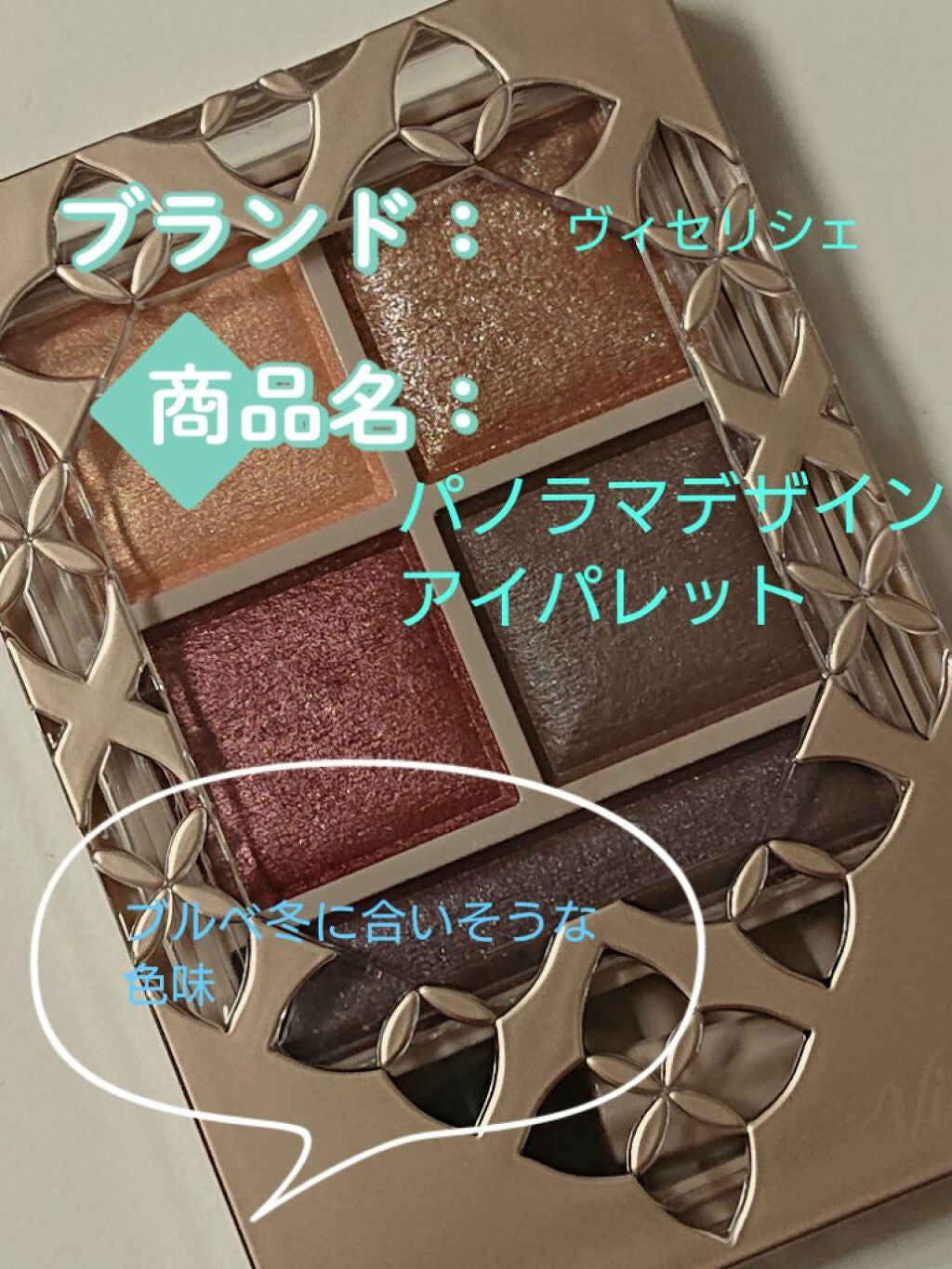 パノラマデザイン アイパレット/Visée/アイシャドウパレットを使ったクチコミ(2枚目)