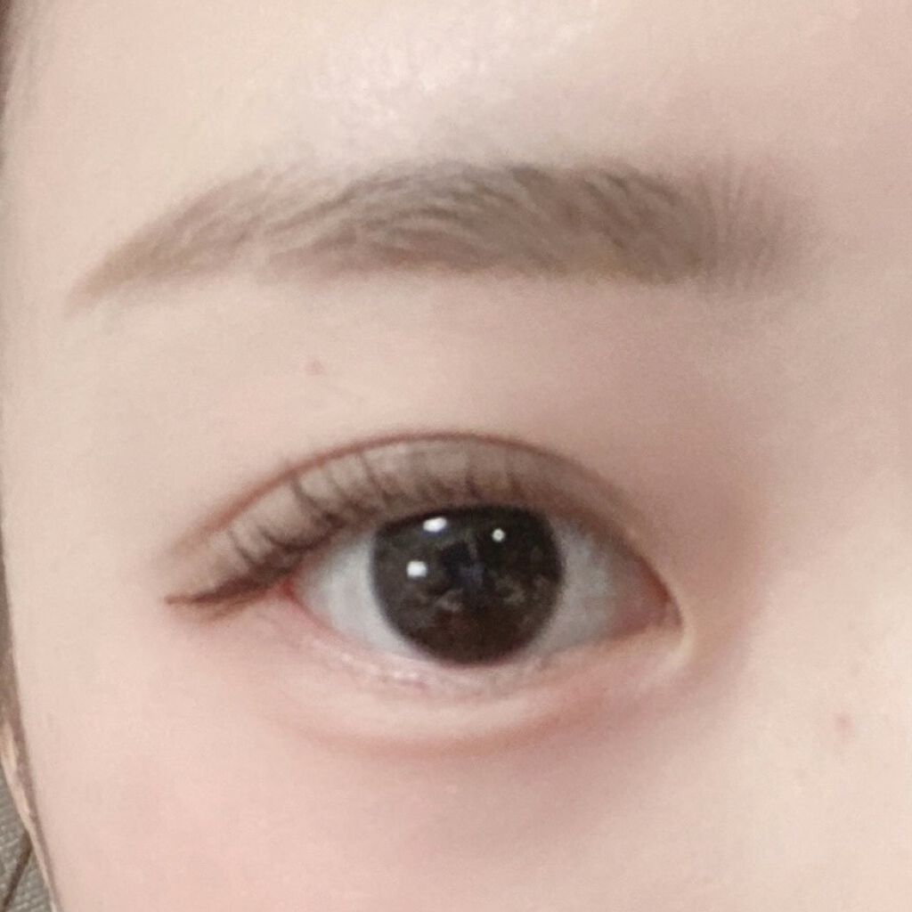 W ブロウEX N B11 ビターブラウン/サナ ニューボーン/パウダーアイブロウを使ったクチコミ（2枚目）