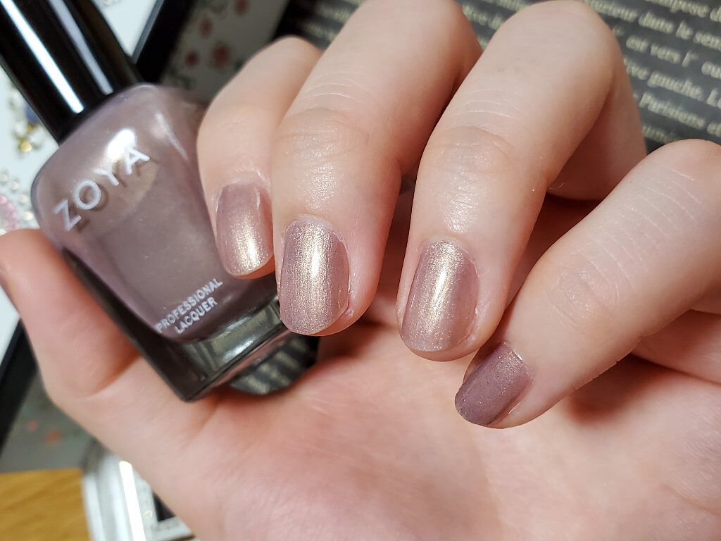 Z-ワイド替ブラシ/ゾーヤ/ネイル用品を使ったクチコミ（2枚目）