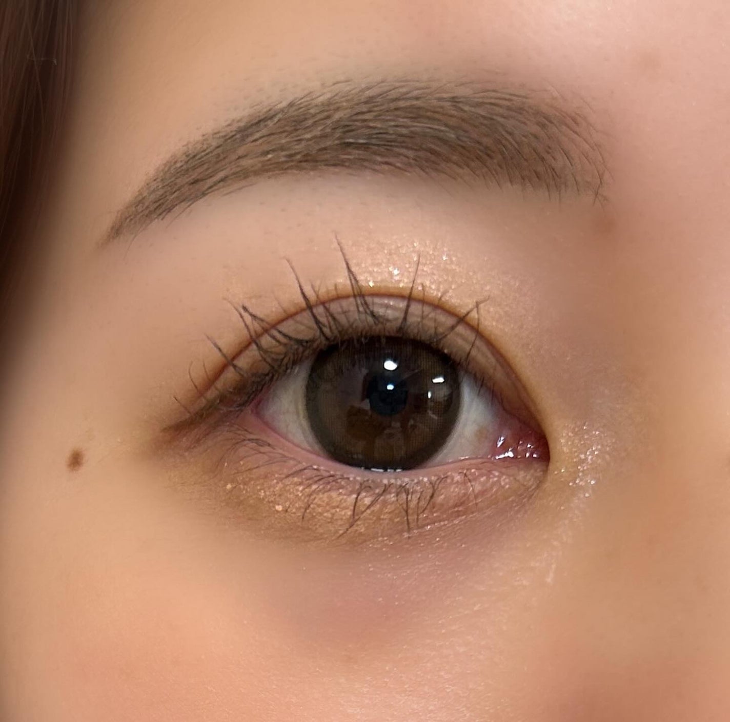 MOLAK 1day/MOLAK/ワンデー(1DAY)カラコンを使ったクチコミ(5枚目)