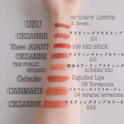 ラスティング リップカラーN/CEZANNE/口紅を使ったクチコミ(4枚目)