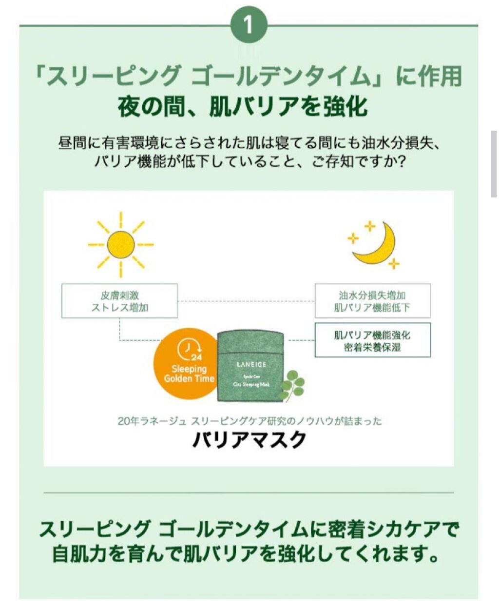 シカスリーピングマスク/LANEIGE/フェイスクリームを使ったクチコミ(2枚目)