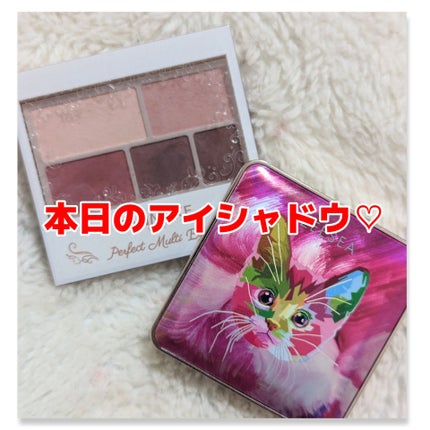 パーフェクトマルチアイズ/キャンメイク/アイシャドウパレットを使ったクチコミ(1枚目)