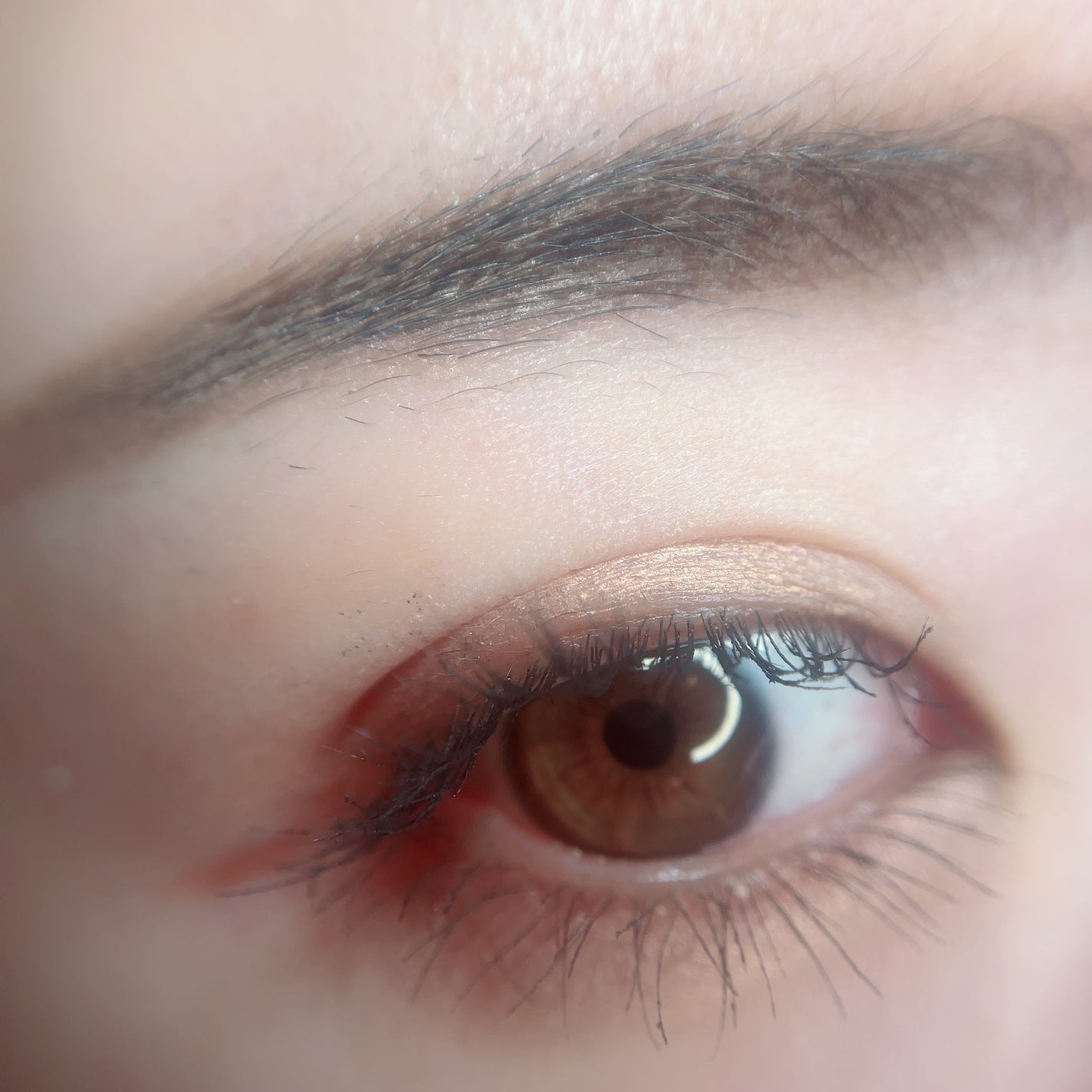 アヴァンセ アイブロウマスカラ&コート /アヴァンセ/眉マスカラを使ったクチコミ(2枚目)