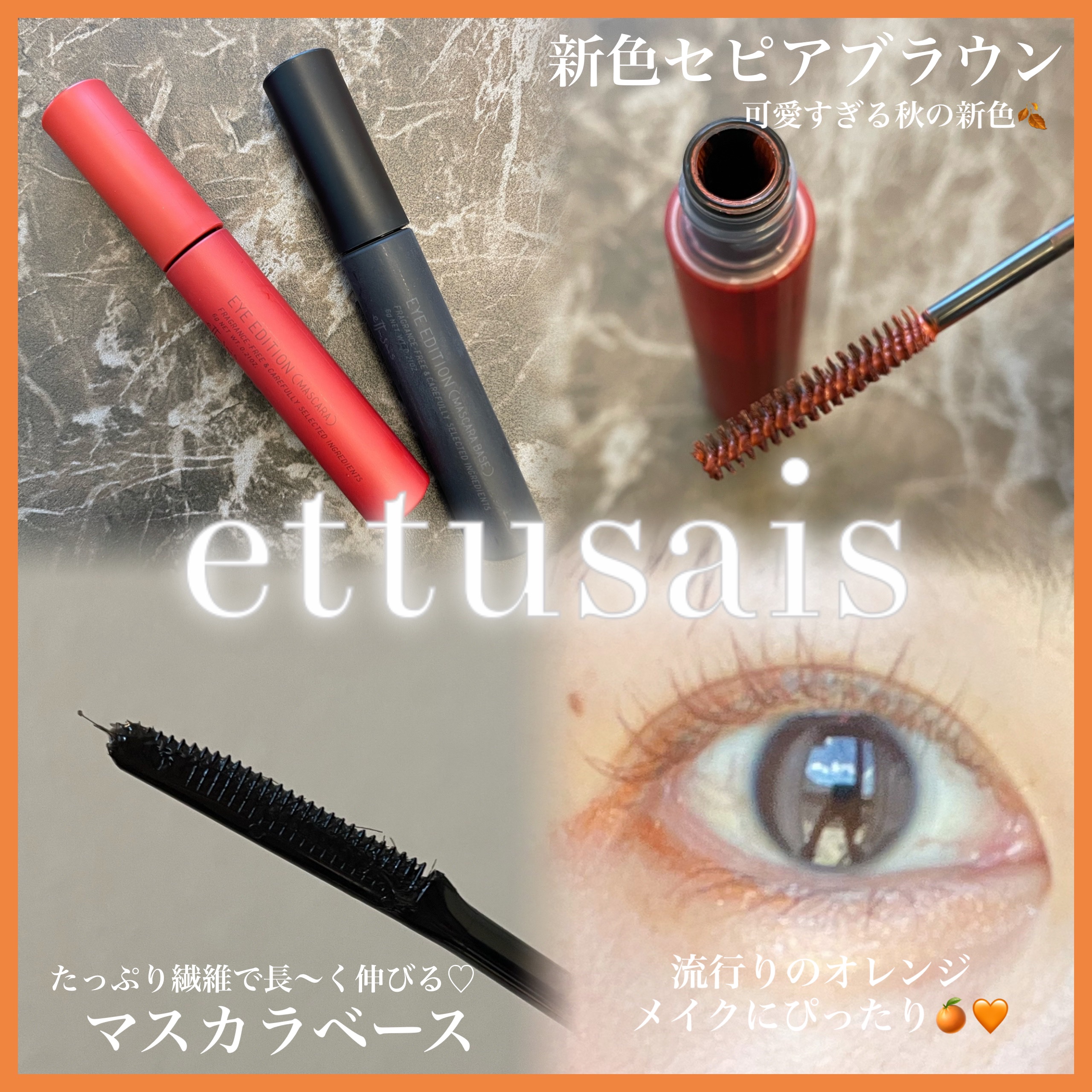 エテュセ アイエディション(マスカラ) 03 セピアブラウン/ettusais/マスカラを使ったクチコミ（1枚目）