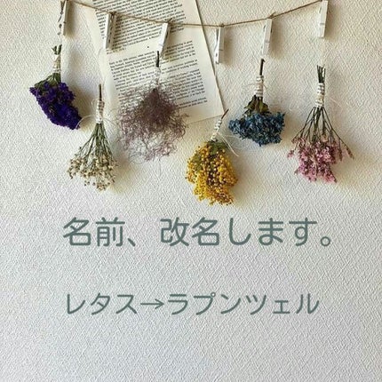 ラプンツェル💫 on LIPS 「お久しぶりです!レタスです✌️嫌な嫌なテストが終わりるんるんし..」(1枚目)