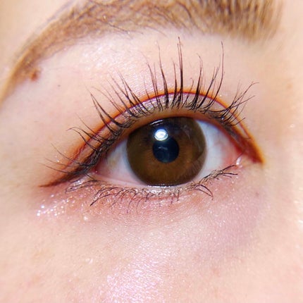 「密着アイライナー」ショート筆リキッド/デジャヴュ/リキッドアイライナーを使ったクチコミ(2枚目)