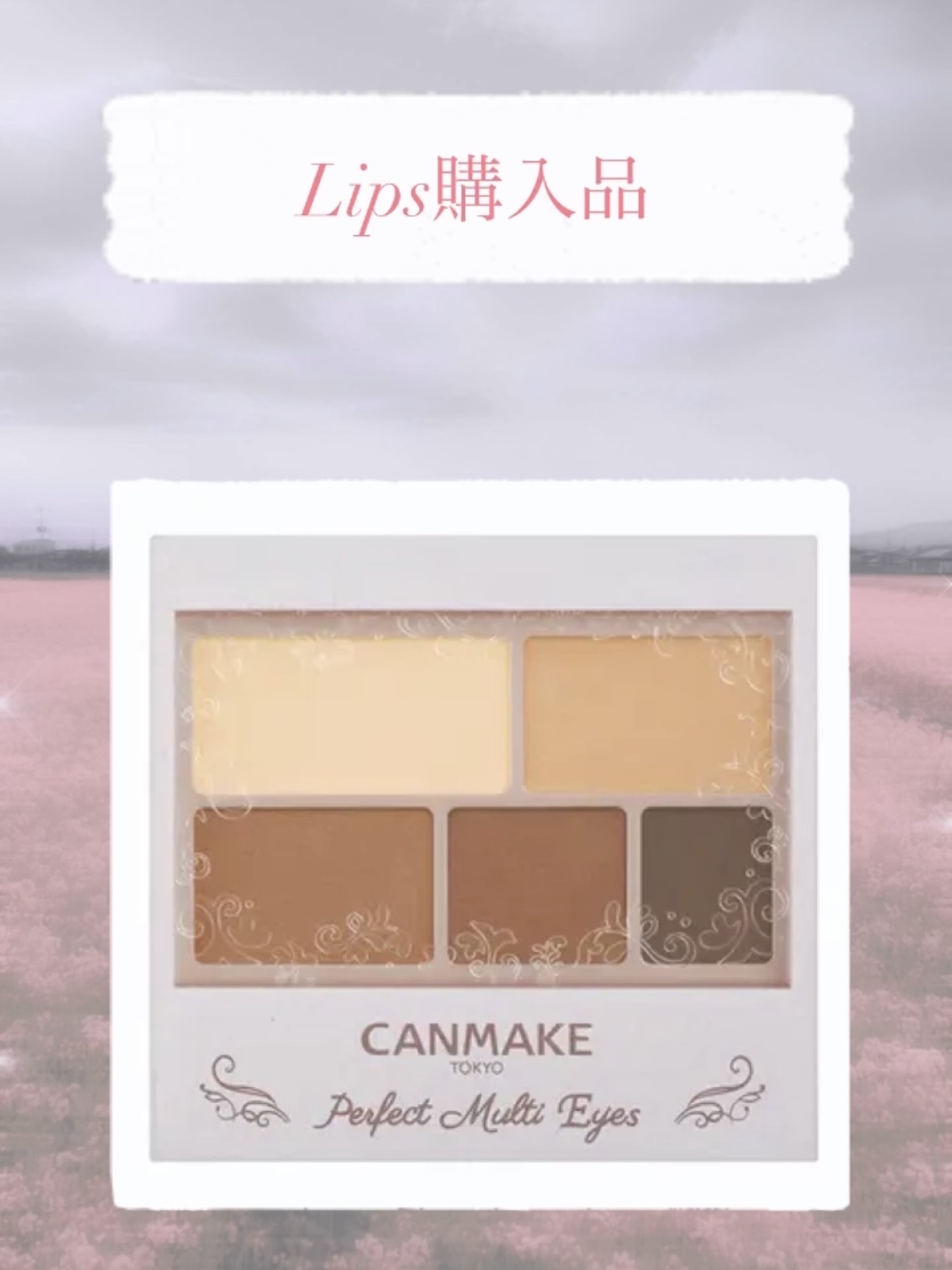 パーフェクトマルチアイズ/キャンメイク/アイシャドウパレットを使ったクチコミ（1枚目）