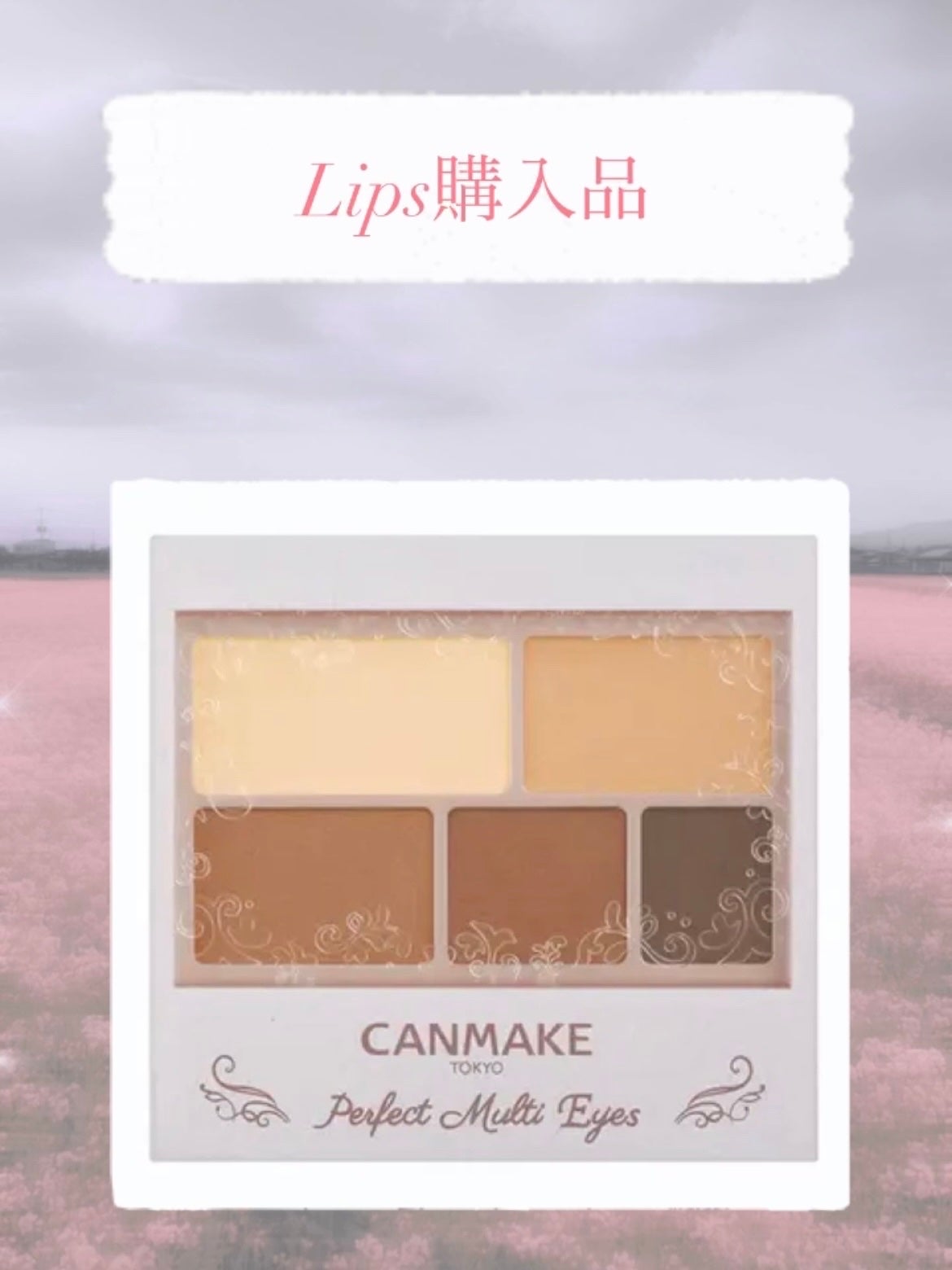 パーフェクトマルチアイズ/キャンメイク/アイシャドウパレットを使ったクチコミ(1枚目)