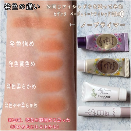 ラスティングマルチアイベース WP/キャンメイク/アイシャドウベースを使ったクチコミ(4枚目)