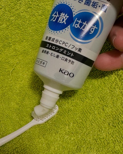 薬用ピュオーラ ハミガキ ストロングミント 大容量 170g/ピュオーラ/歯磨き粉の画像