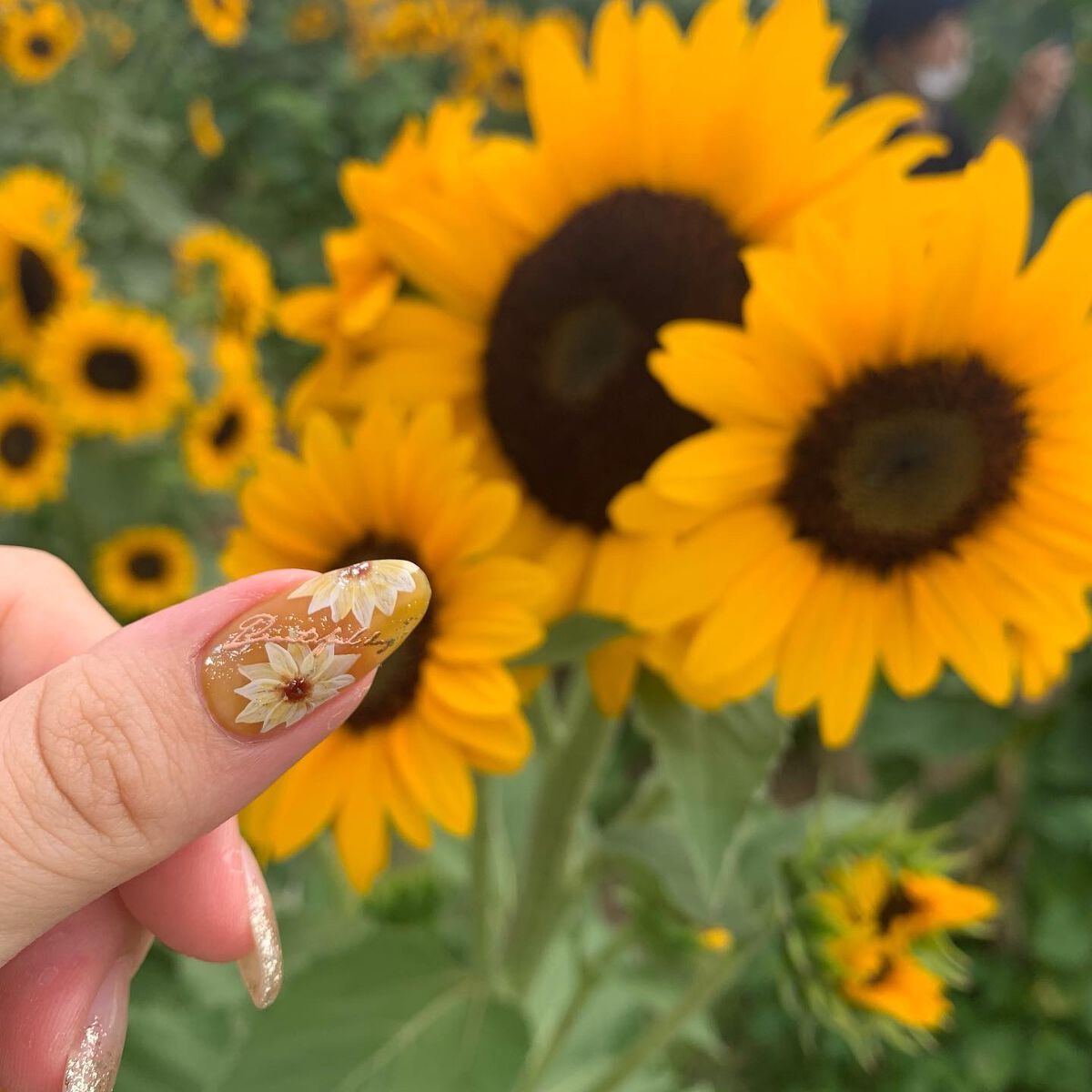 izu_nail♡フォロバLIPSパートナー on LIPS 「...#夏ネイル#ひまわりネイル#ひまわり畑#マイネイル.....」(2枚目)