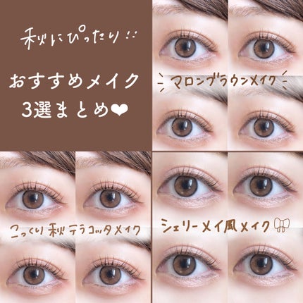 ベージュトーンアイシャドウ/CEZANNE/アイシャドウパレットを使ったクチコミ(3枚目)