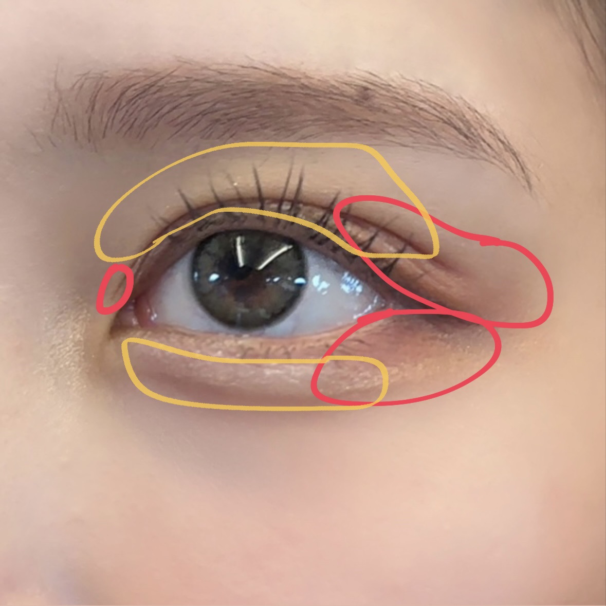 マテリアルカラーパレット/leur charme/アイシャドウパレットを使ったクチコミ（3枚目）