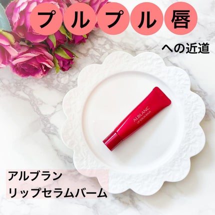 アルブラン リップセラムバーム/ALBLANC/リップバームを使ったクチコミ(1枚目)