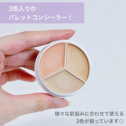カバーアッププロコンシーラー クール スペシャルセット(コンシーラー15g+ブラシ)/TFIT/パレットコンシーラーを使ったクチコミ(3枚目)