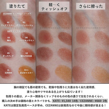 ケイト リップモンスター/KATE/口紅を使ったクチコミ(5枚目)