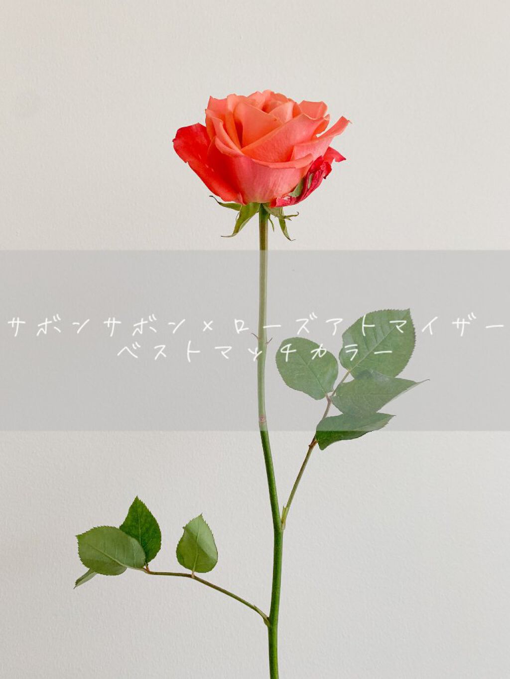 フレグランス ヘア&ボディミスト/パルフェタムール サボンサボン/香水(その他)を使ったクチコミ(1枚目)