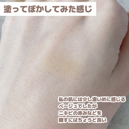 薬用コンシーラー アクネプロテクター/ONLY MINERALS/パウダーコンシーラーを使ったクチコミ(6枚目)