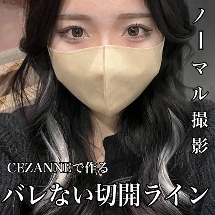 極細 アイライナーR/CEZANNE/リキッドアイライナーを使ったクチコミ(1枚目)
