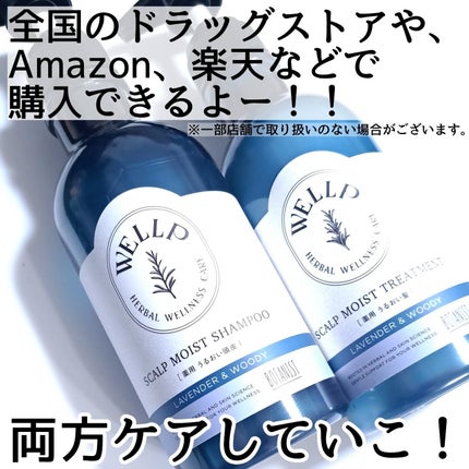 薬用スカルプケアシャンプー/トリートメント モイスト/WELLP/市販シャンプーを使ったクチコミ(6枚目)