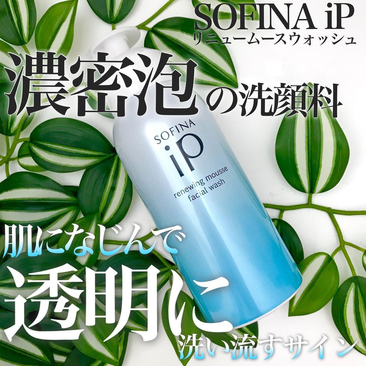 ソフィーナ iP リニュー ムース ウォッシュ/SOFINA iP/泡洗顔を使ったクチコミ(1枚目)