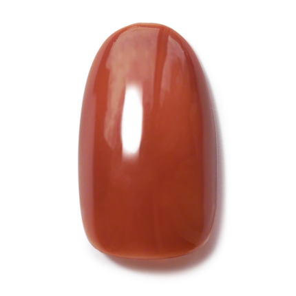 NE-165 チョコレートファウンテン(Chocolate Fountain)