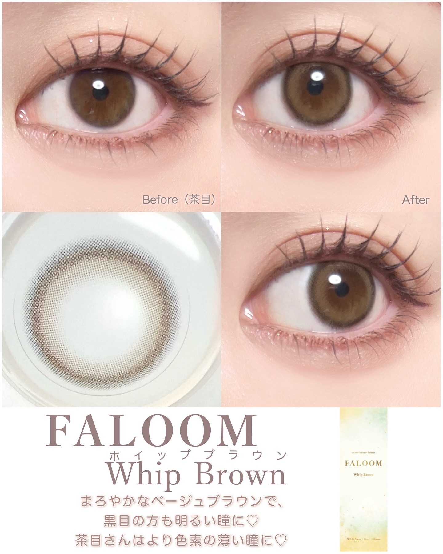 FALOOM 1DAY ホイップブラウン/FALOOM/ワンデー（１DAY）カラコンを使ったクチコミ（2枚目）