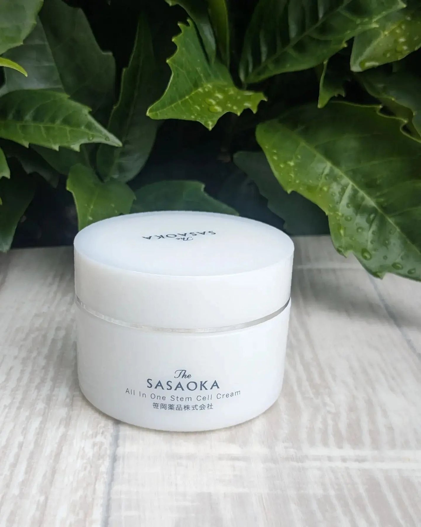 笹岡オールインワンクリーム/笹岡薬品/オールインワン化粧品を使ったクチコミ(8枚目)