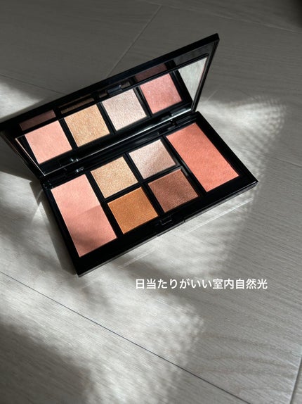 アイ & チーク コンパクトアディクション “ストーリー オブ ライフ” 102 Deep Roots/ADDICTION/アイシャドウパレットを使ったクチコミ(3枚目)