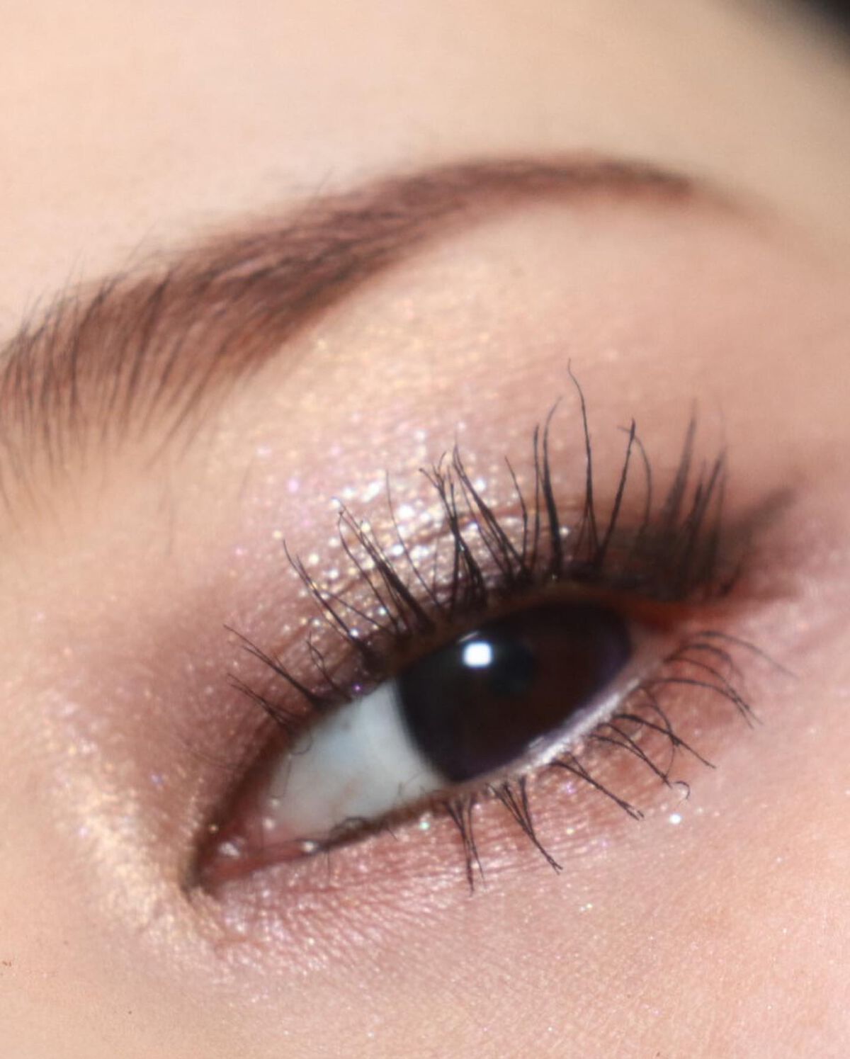 シャインユー アイシャドウパレット/frunflynn/アイシャドウパレットを使ったクチコミ(9枚目)