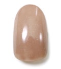 WG-10 Milk Tea Brown