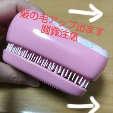 コンパクトスタイラー/TANGLE TEEZER/ヘアブラシを使ったクチコミ（4枚目）