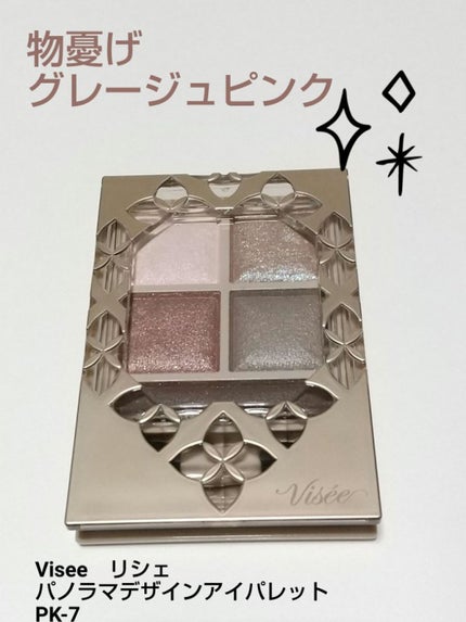 パノラマデザイン アイパレット/Visée/アイシャドウパレットを使ったクチコミ(1枚目)