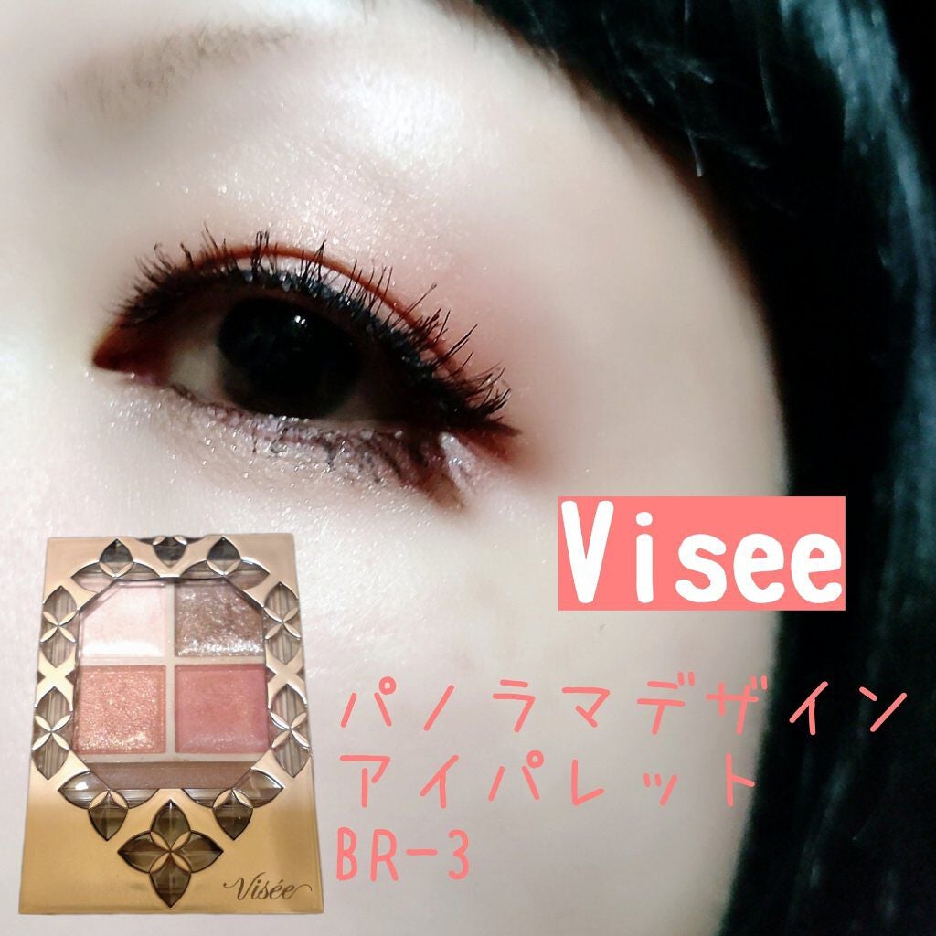 パノラマデザイン アイパレット/Visée/アイシャドウパレットを使ったクチコミ(1枚目)