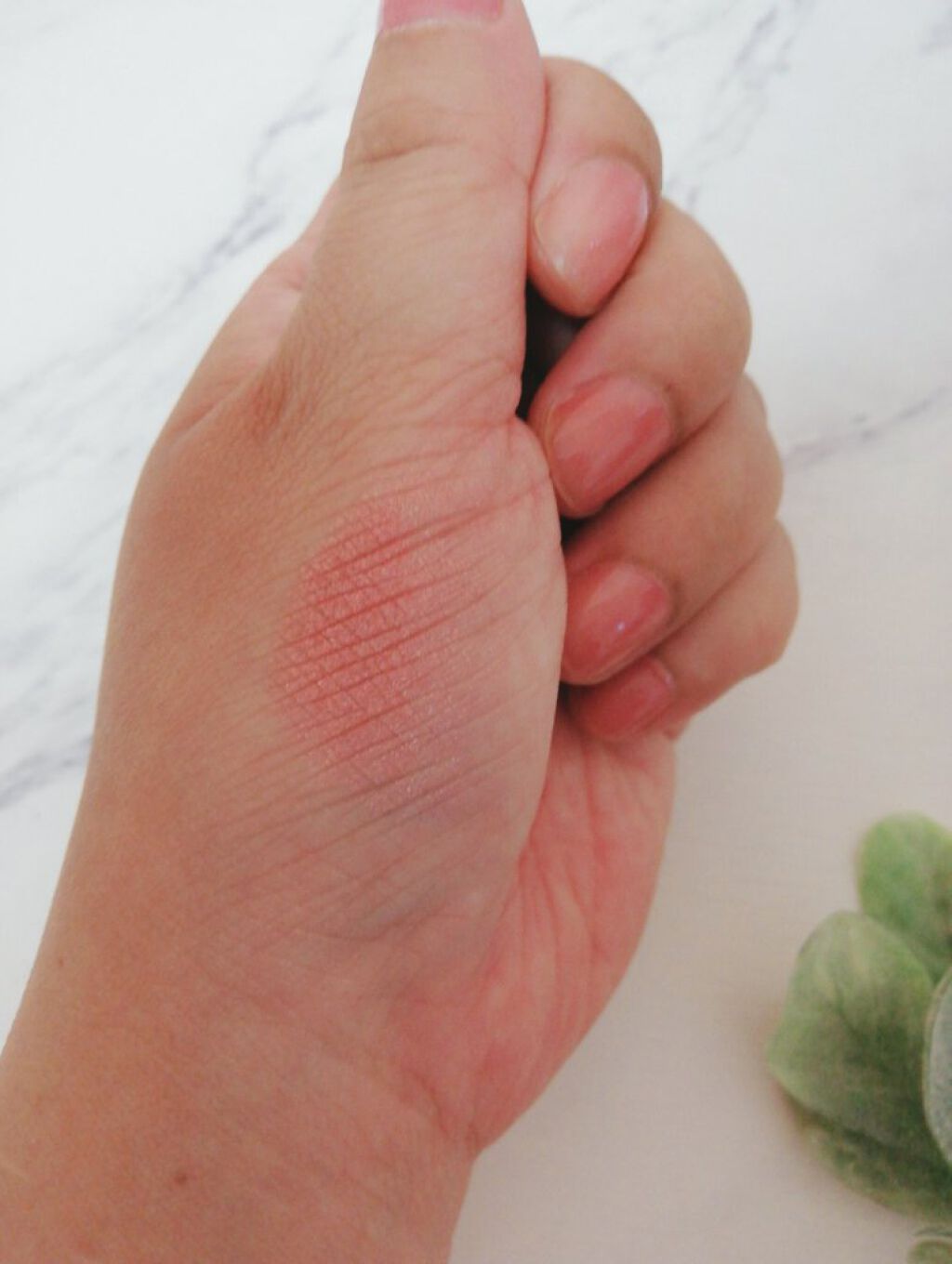 シャドーカスタマイズ/MAJOLICA MAJORCA/単色アイシャドウを使ったクチコミ(2枚目)