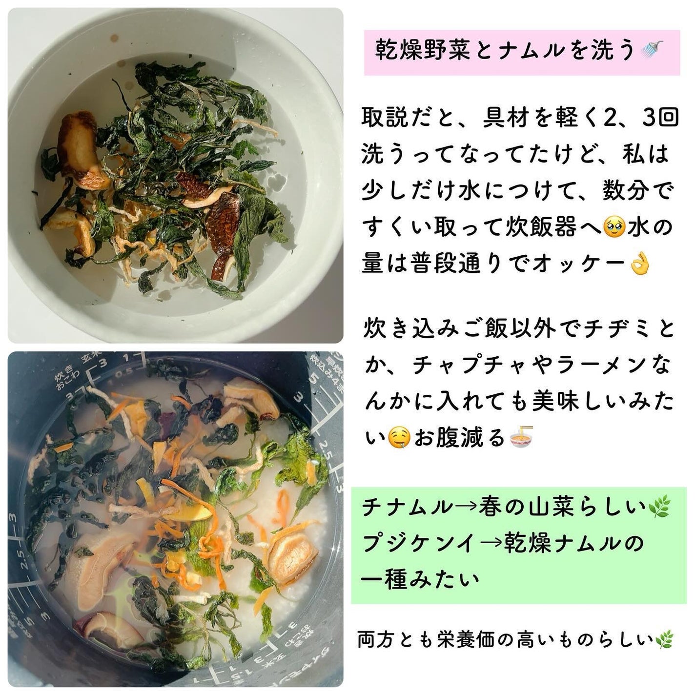 チェジュ健康ご飯/JEJU REPUBLIC/バランス栄養食を使ったクチコミ(4枚目)