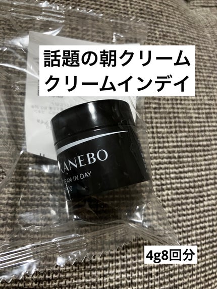 クリーム イン デイ/KANEBO/フェイスクリームを使ったクチコミ(2枚目)