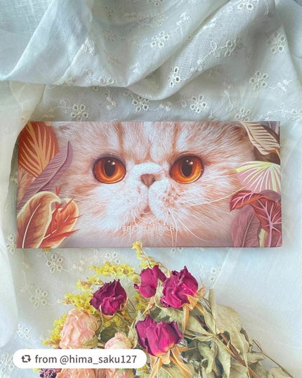 エクスプローラ12色 動物アイシャドウパレット/PERFECT DIARY/アイシャドウパレットを使ったクチコミ(1枚目)