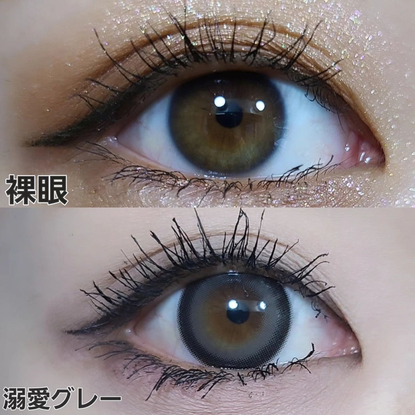 トリコニナル ワンデー/トリコニナル/ワンデー(1DAY)カラコンを使ったクチコミ(6枚目)