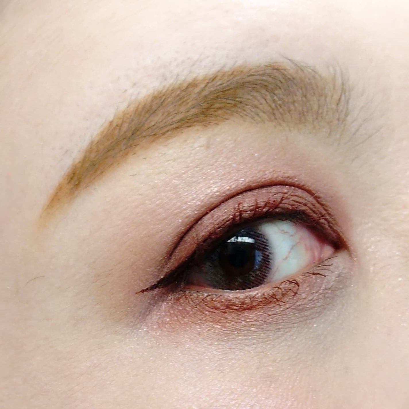 シャドーカスタマイズ/MAJOLICA MAJORCA/単色アイシャドウを使ったクチコミ(4枚目)