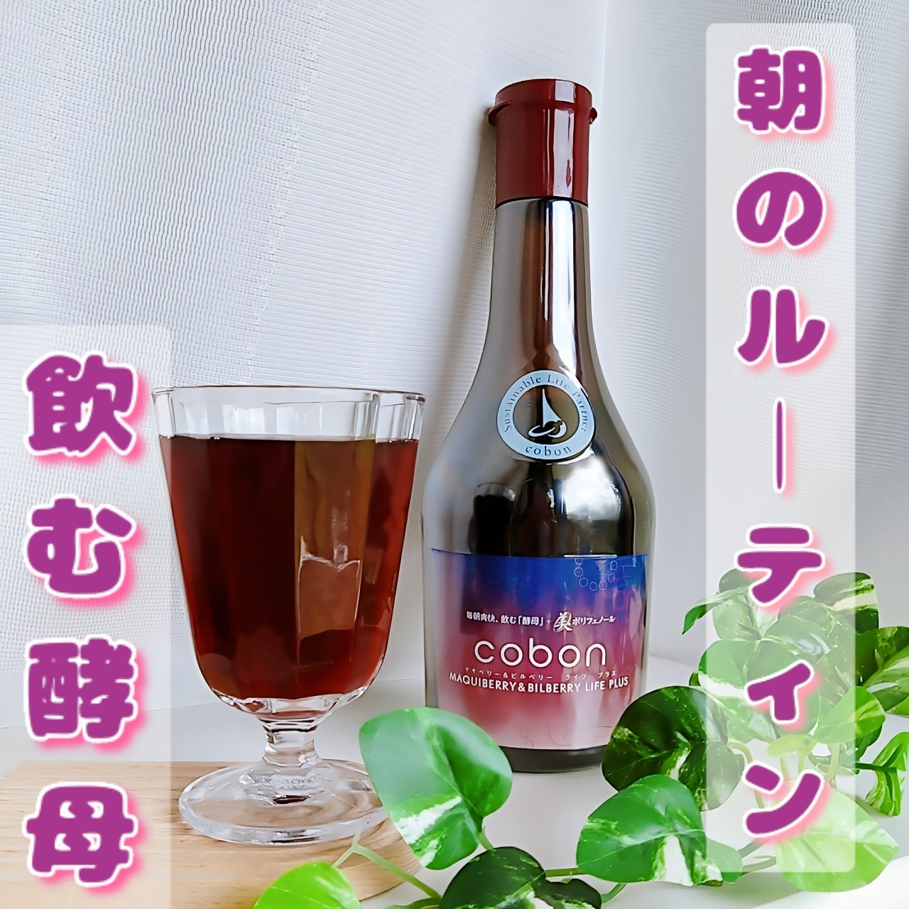 コーボンマキベリー＆ビルベリーライフプラス/COBON/酵素ドリンクを使ったクチコミ（1枚目）
