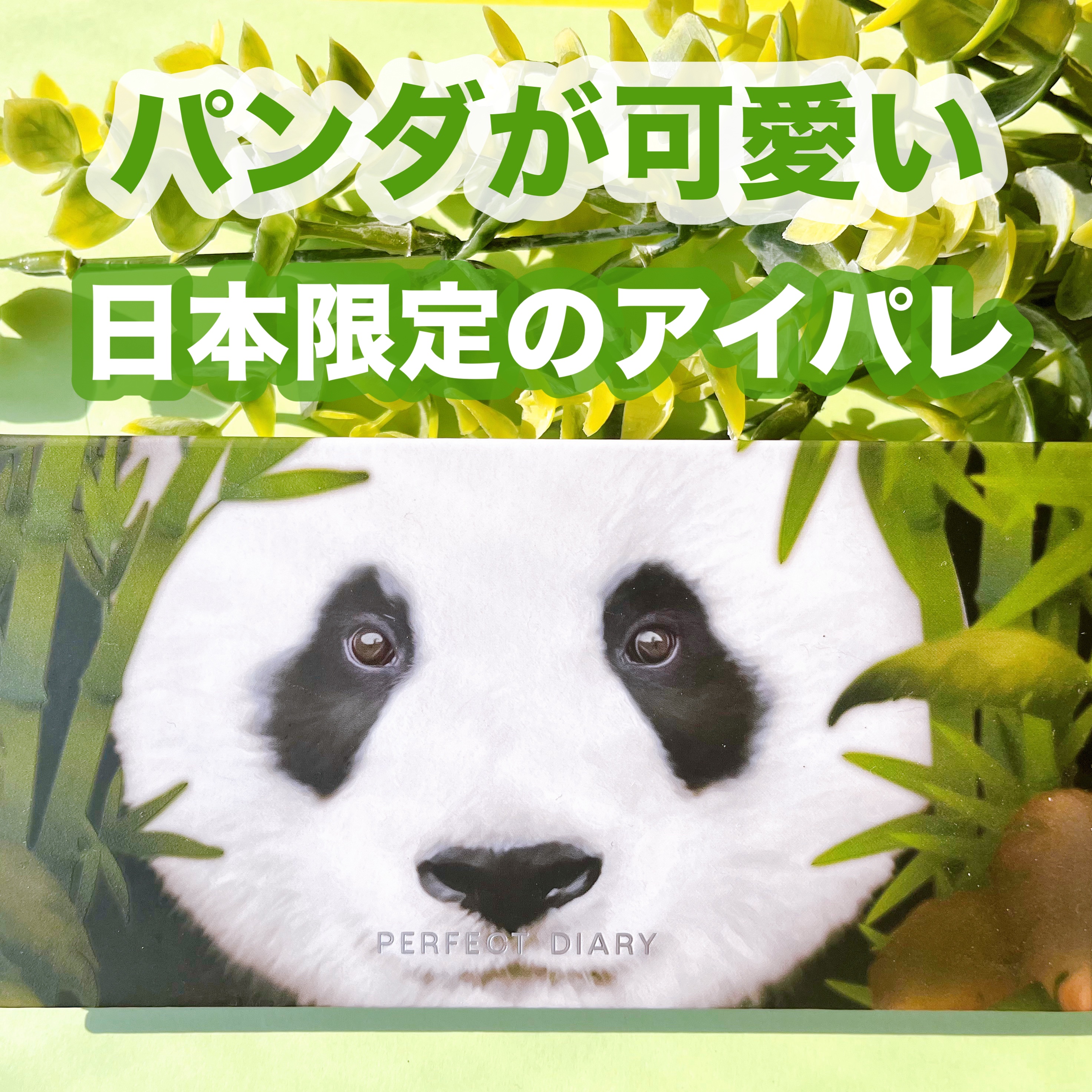 エクスプローラ12色 動物アイシャドウパレット/PERFECT DIARY/アイシャドウパレットを使ったクチコミ（1枚目）