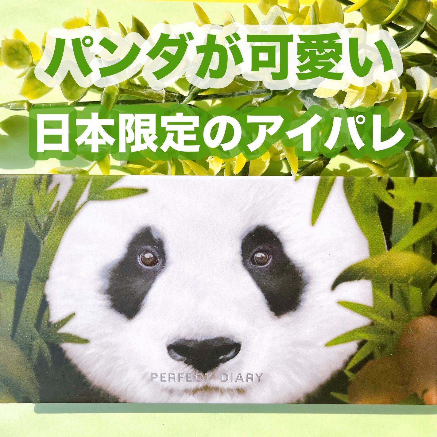 エクスプローラ12色 動物アイシャドウパレット/PERFECT DIARY/アイシャドウパレットを使ったクチコミ(1枚目)