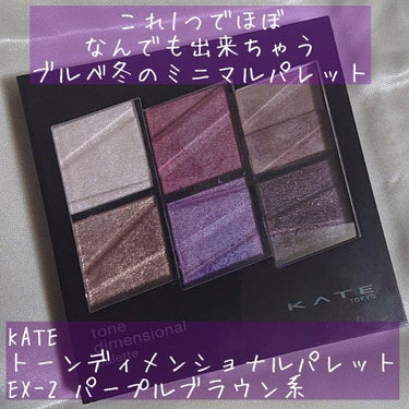 これ、結構前からあったのに買ってなかったの、ちょっと後悔してる。

KATEのトーンディメンショナルパレット、定番棚にもいつもあるのに、今年の秋まで手を出した事がなかったんですよね。
それまでは「使えて