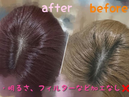 泡カラー/リーゼ/ヘアカラーを使ったクチコミ(2枚目)