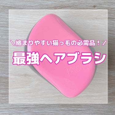 コンパクトスタイラー/TANGLE TEEZER/ヘアブラシを使ったクチコミ（1枚目）