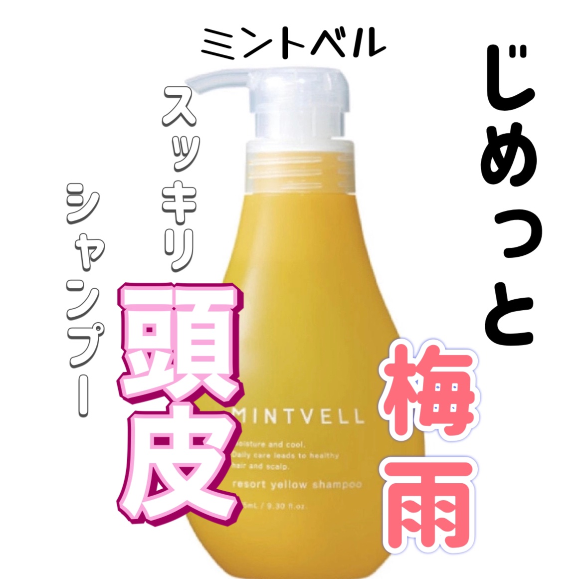 試してみた】サンコール ミントベルシャンプーの効果・髪質別の口コミ