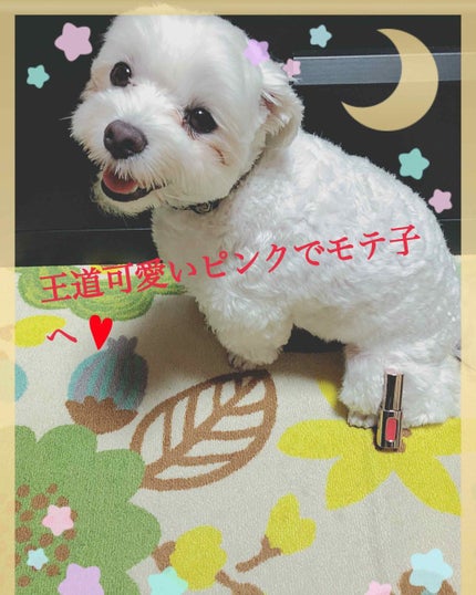 エクストラ オーディナリールージュ/ロレアル パリ/口紅を使ったクチコミ(1枚目)