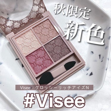 グロッシーリッチ アイズ N/Visée/パウダーアイシャドウを使ったクチコミ（1枚目）